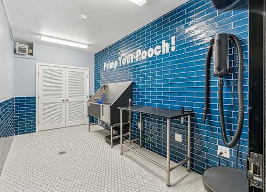 Pet Wash
