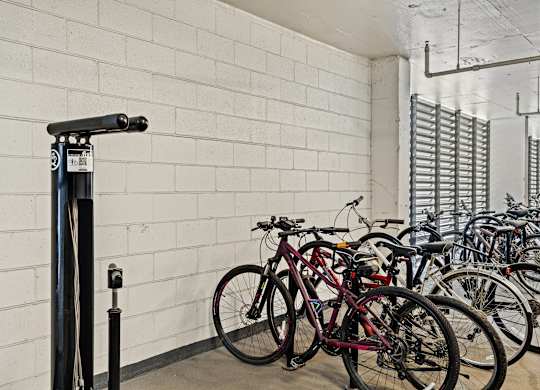 Photo of bike maintenance