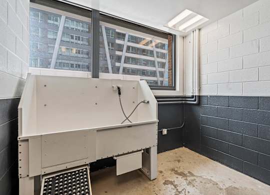Photo of pet spa