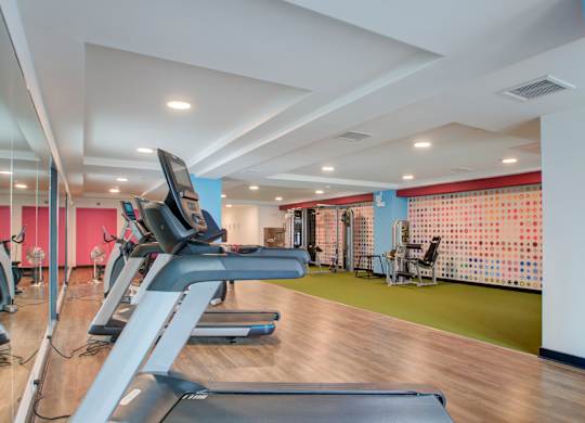 A gym with treadmills and exercise equipment.