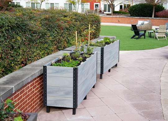Herb Garden