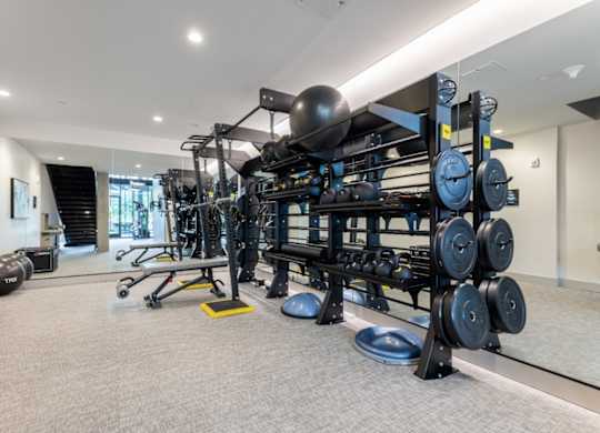 Fitness Center — Strength Training