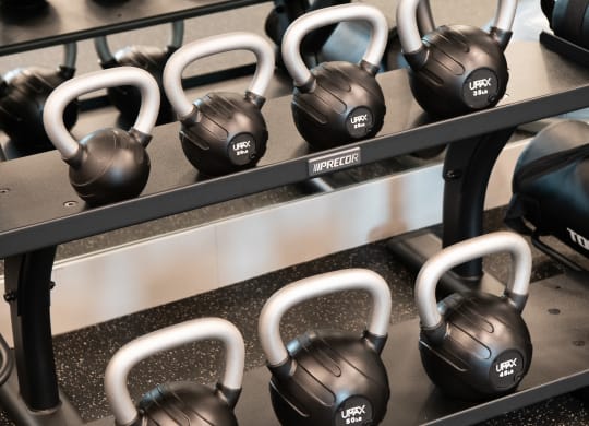 a rack of dumbbells and weights in a gym