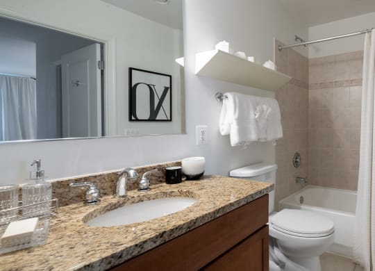 a bathroom with a sink and a toilet and a shower