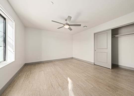 A room with a ceiling fan and a cat.