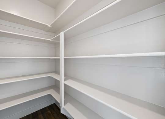 Large pantry with built in shelving