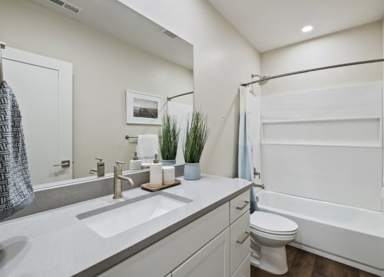 Decorated bathroom with large countertop and white vanity cabinets