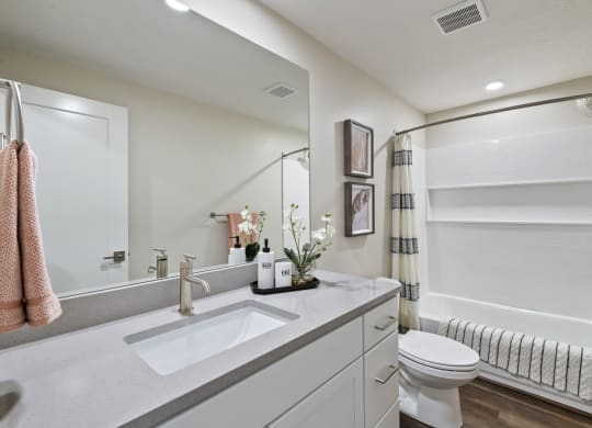 Decorated bathroom with large countertop and white vanity cabinets