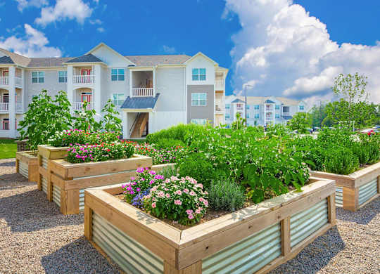Garden at Concord Ridge Apartments, Concord, NC