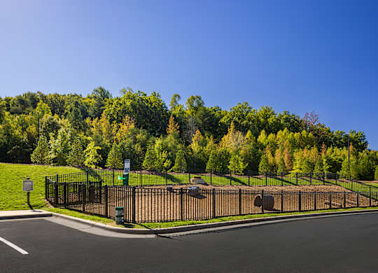 Greenery around at 198 Milltown Apartments, Burlington, North Carolina