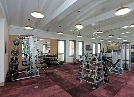 A gym with a variety of equipment including weights and weight machines.at 198 Milltown Apartments, North Carolina, 27215