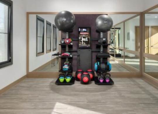 A room with a purple wall and a row of exercise balls and dumbbells.at 198 Milltown Apartments, Burlington North Carolina  