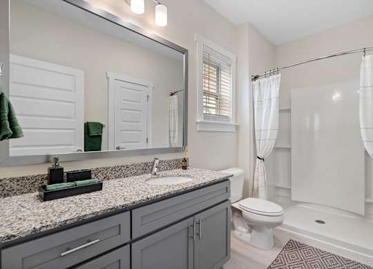 A bathroom with a toilet, sink, and shower.at 198 Milltown Apartments, Burlington North Carolina  