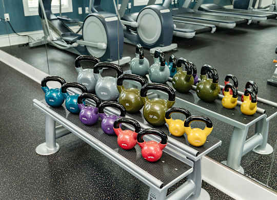 A row of kettlebells in various colors are lined up on a rack in a gym. at Concord Ridge Apartments, North Carolina