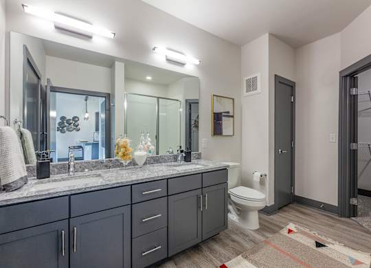 A bathroom with a toilet, sink, and mirror. at Magnolia Grove Apartments, Terrell, 75160