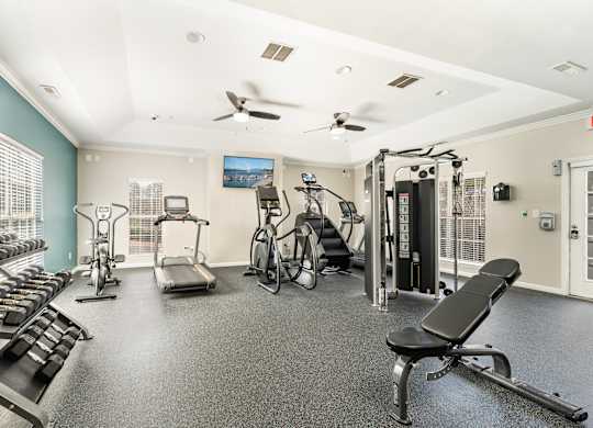 Modern Fitness Center at WildForest Apartments, Birmingham, AL