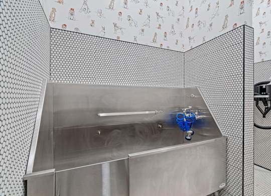 a stainless steel sink in pet spa at The Hallon Apartments,  Hopkins, MN, 55343