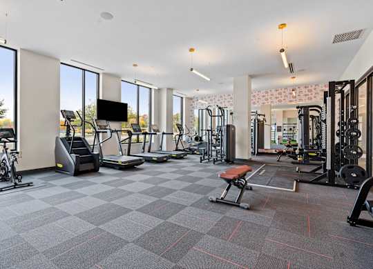 Fully Equipped Fitness Center at The Hallon Apartments,  Hopkins
