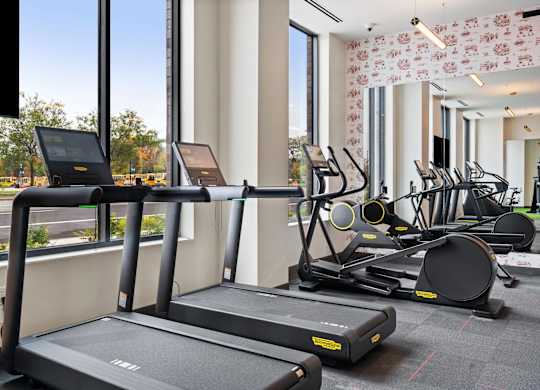 Cardio Machines at The Hallon Apartments,  Hopkins, MN