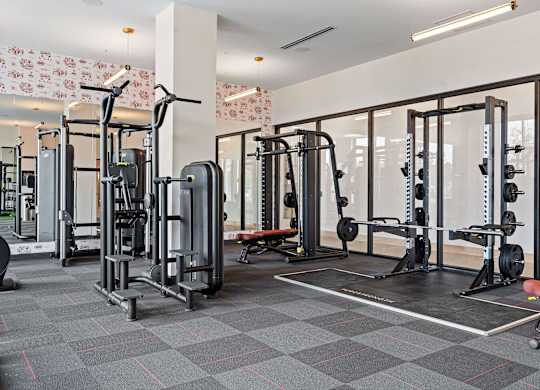Fitness Center With Modern Equipment at The Hallon Apartments,  Hopkins, MN, 55343