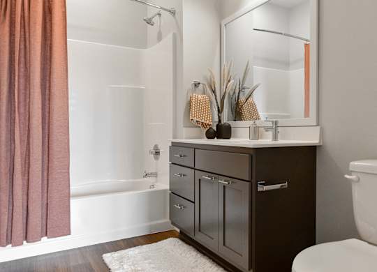 a bathroom with a sink and a toilet and a shower at The Hallon Apartments, Hopkins, Minnesota