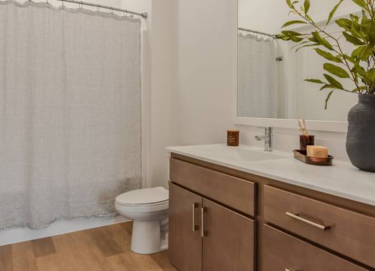 A bathroom with a toilet, sink, and a plant.
