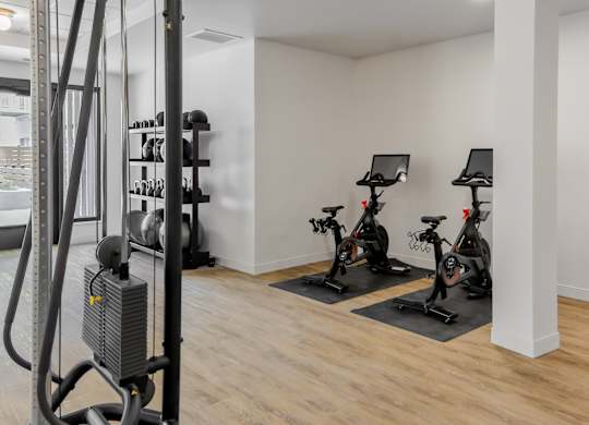 A gym with a row of stationary bikes and a treadmill.