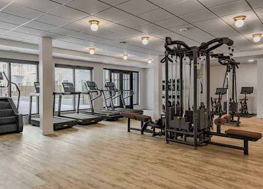 A gym with a variety of equipment including treadmills, weights, and benches.