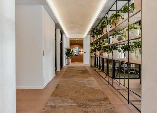 A long hallway with a rug on the floor and plants on the shelves.