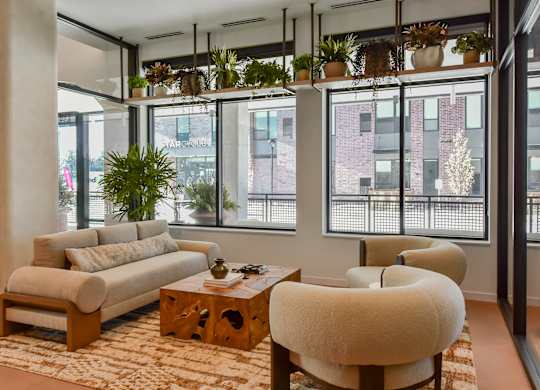 A living room with a couch, chair, and potted plants.