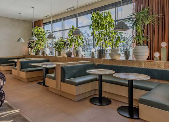 green plants and wooden tables.