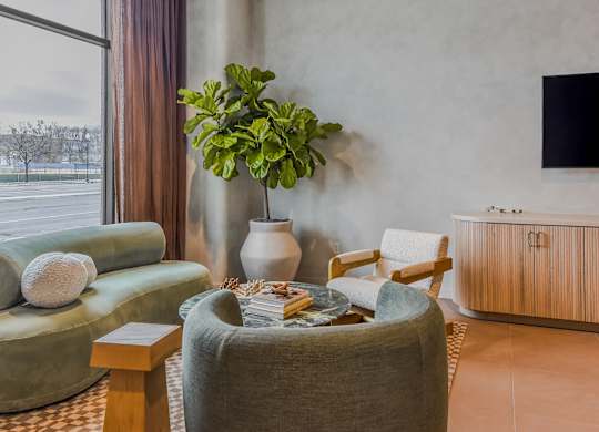 A living room with a green couch, a green armchair, a coffee table, a potted plant, and a TV.