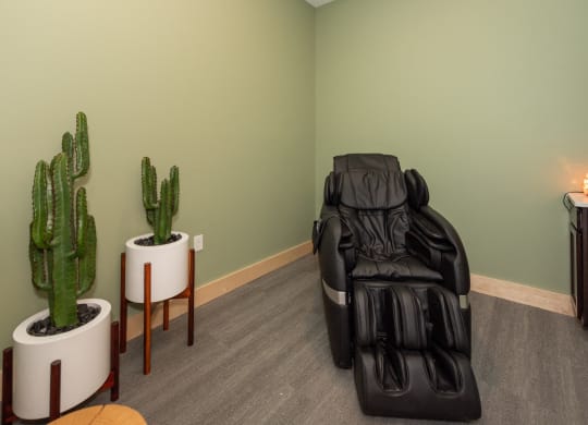 a massage chair in a room with a cactus and a plant