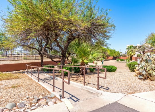 the playground at the preserve at camelback park
