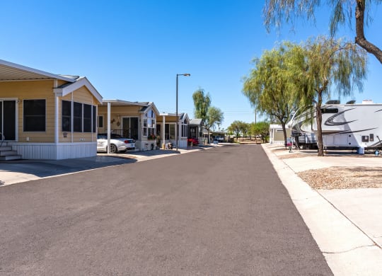 a street with houses on either side and a tree in the middle