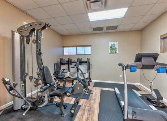 gym with exercise equipment at the enclave at woodbridge apartments in sugar land