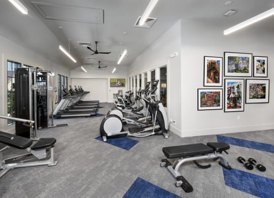 the gym at the benjamin pa
