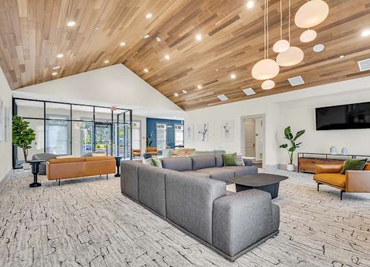 A modern living room with a grey sofa and wooden ceiling.