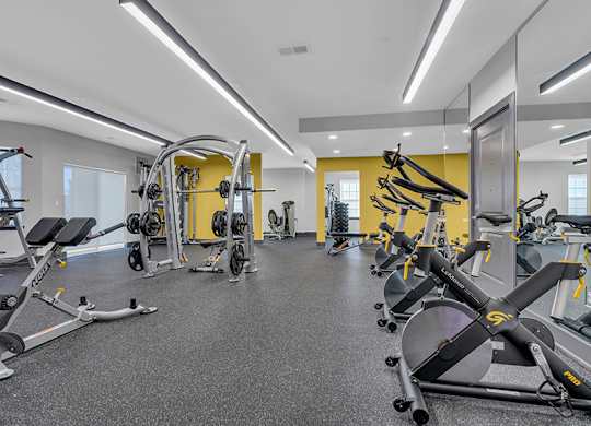 A gym with a variety of exercise equipment including treadmills, stationary bikes, and weight machines.