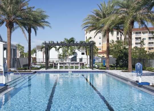a large swimming pool with a pergola and palm trees in the background