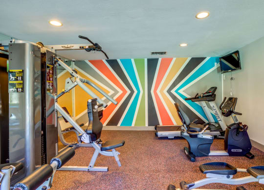Fitness Center at The Reserve at City Center North, Texas, 77043