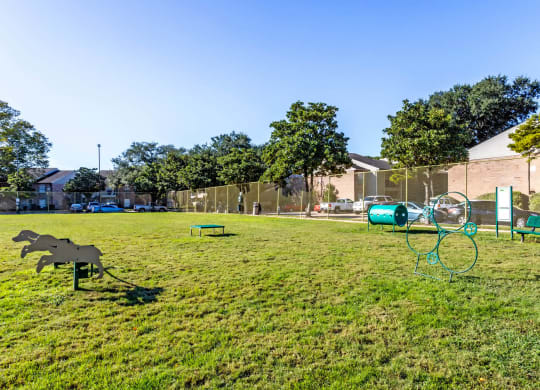 Dog Park at The Reserve at City Center North, Texas