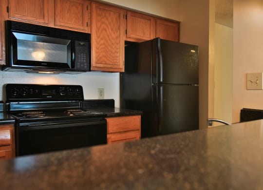 Granite Countertop Kitchen at Turtle Creek Vista, San Antonio, 78229