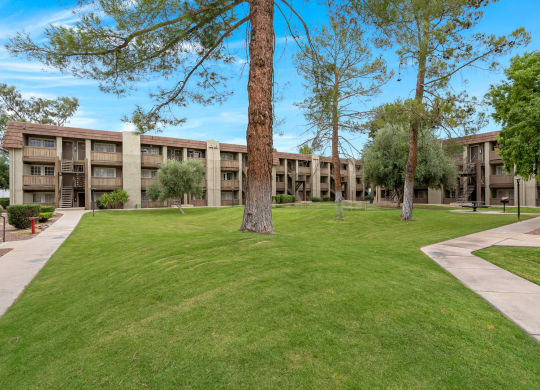 Courtyard with Palm Trees and Buildings at Verde Apartments in Tucson, AZ!