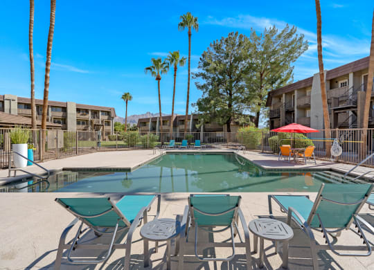 Pool with Loungers and Palm Trees at Verde Apartments, Tucson, AZ