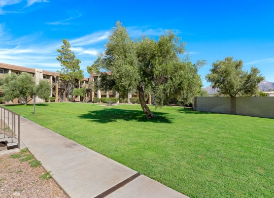 Green Space at Verde Apartments in Tucson, AZ, 85719