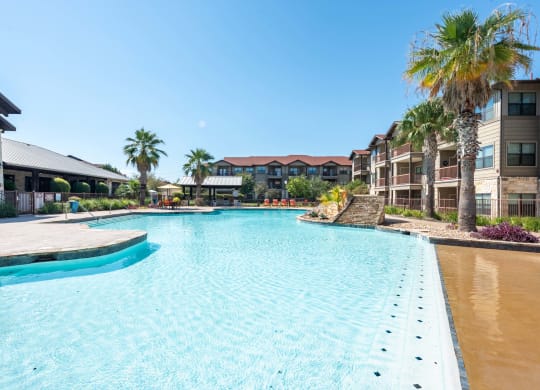Legacy Brooks Swimming Pool with Palm Trees  at Legacy Brooks, 78223