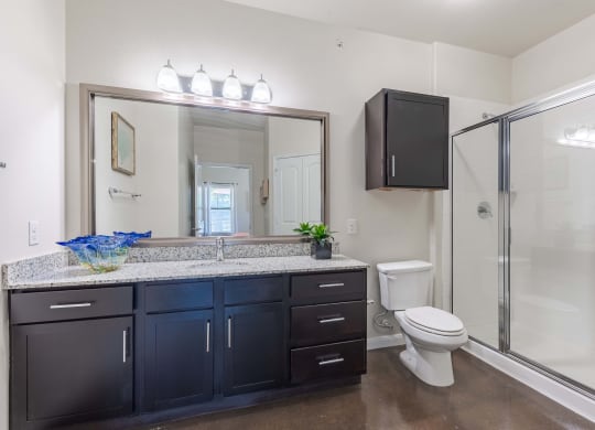 Large Bathroom with Cabinetry and Stand Up Shower  at Legacy Brooks, Texas 78223