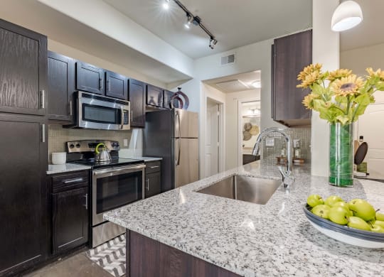 Kitchen Counter with Sink and Cabinetry with Decor  at Legacy Brooks, San Antonio