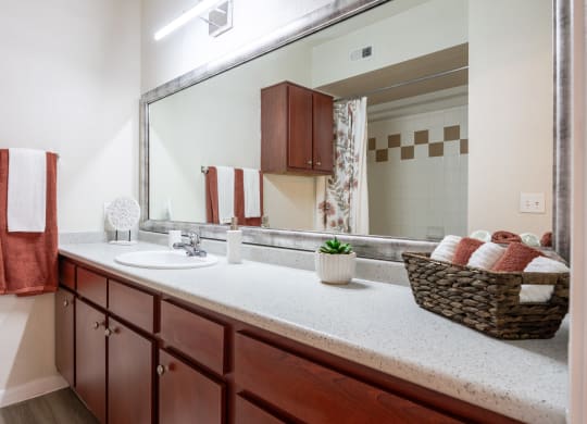 Bathroom at Park Hudson Place Apartments, Bryan